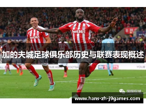 加的夫城足球俱乐部历史与联赛表现概述 加的夫城足球俱乐部历史与联赛表现概述