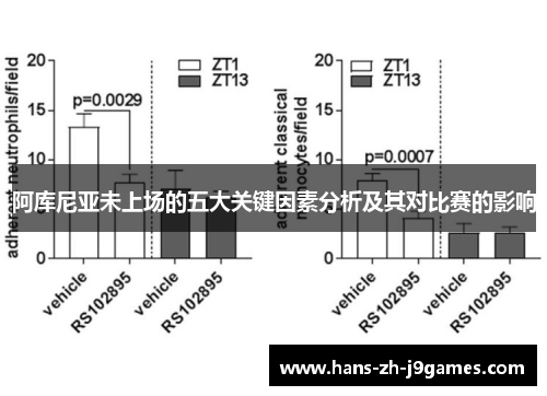 阿库尼亚未上场的五大关键因素分析及其对比赛的影响