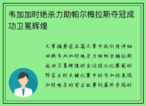 韦加加时绝杀力助帕尔梅拉斯夺冠成功卫冕辉煌